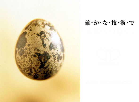 ウズラ